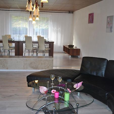 Apartment Mlynska Есеник Экстерьер фото